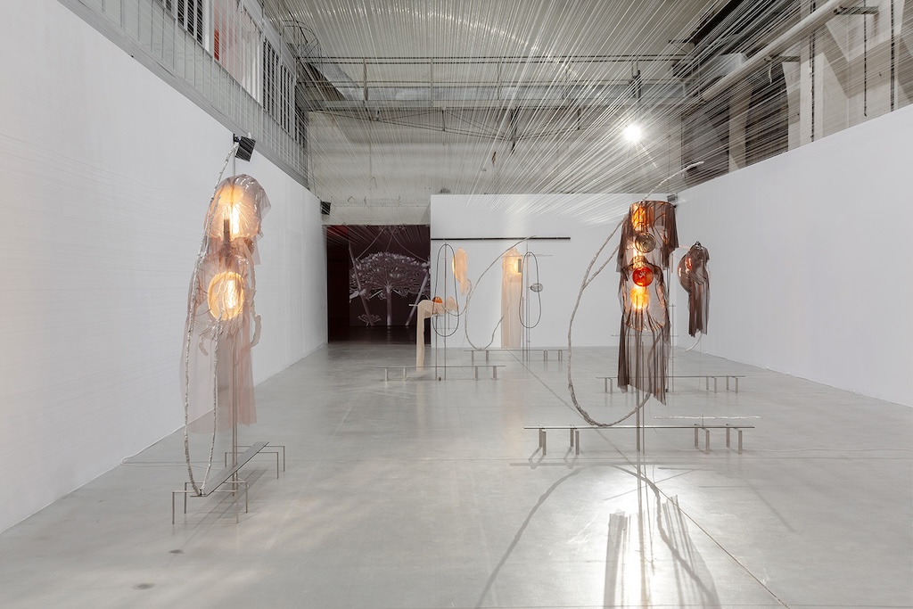Clearview, solo show